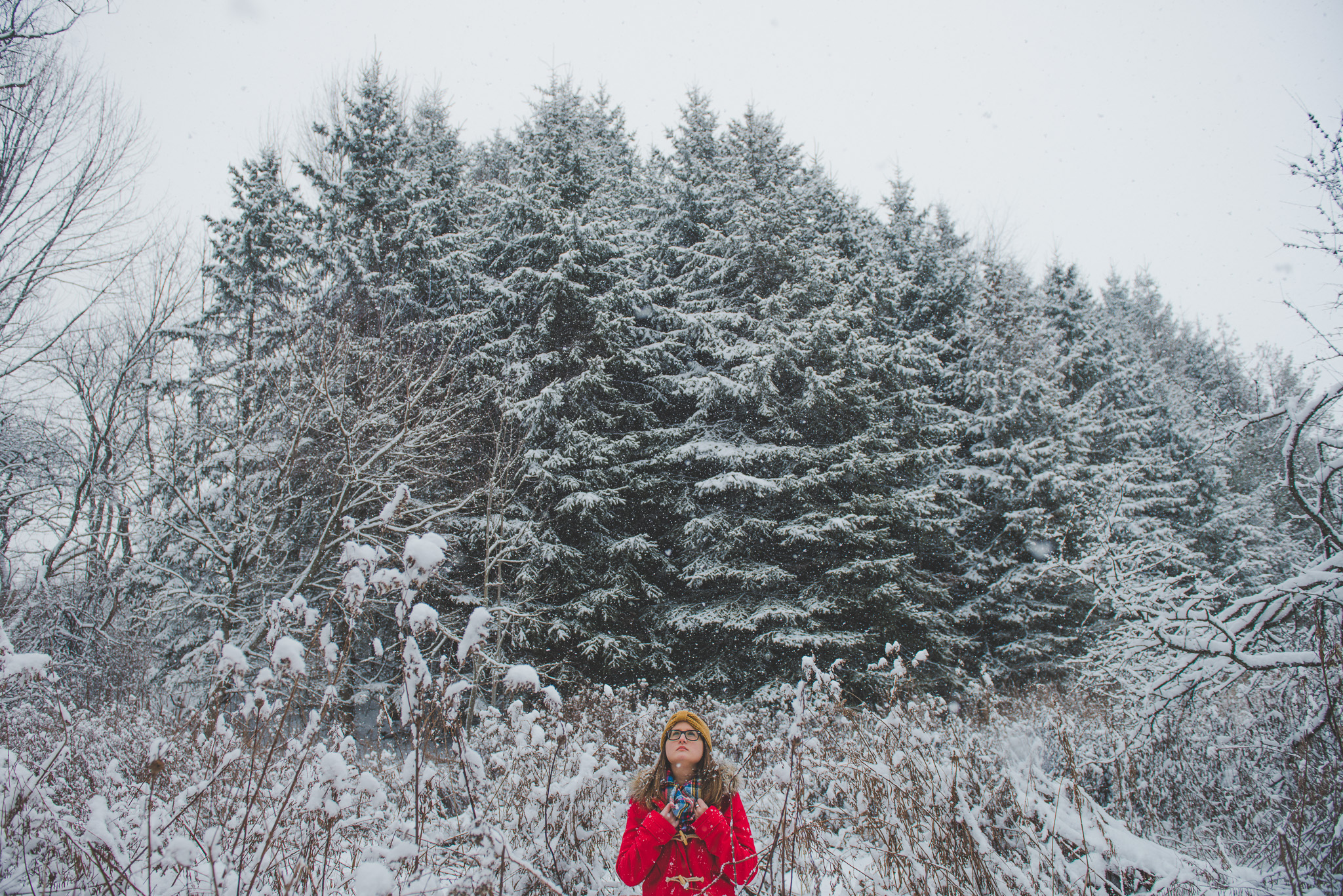 DSC_8115Snow, portrait, woods, red coat, winter, ontario, Canada, Toronto photographer, Port Hope photographer, woman, glasses, woods, trees 